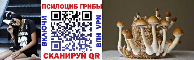Псилоцибиновые грибы MAGIC MUSHROOMS  мориарти состав  Тула  MEGA как зайти 